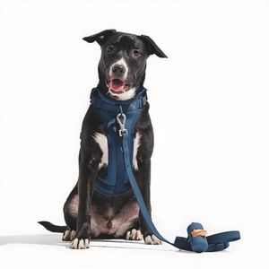 Correa y Pechera Ajustable Para Perros Azul Oscuro - Talla M
