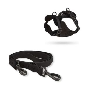 Correa y Pechera Ajustable Para Perros Negro - Talla S