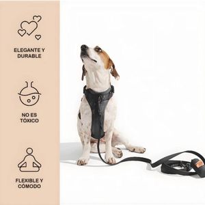 Correa y Pechera Ajustable Para Perros Negro - Talla S