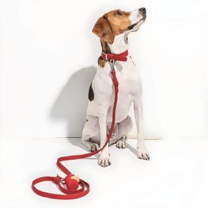 Correa Para Perros PVC Impermeable Rojo - Talla M