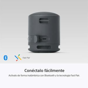 Sony Parlante Bluetooth SRS-XB100 Portátil Waterproof Negro