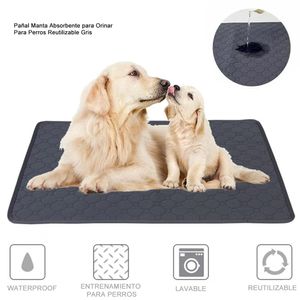 Combo Pañal absorbente para perro + malla de seguridad para auto