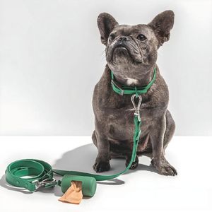 Correa Para Perros PVC Impermeable Verde - Talla M