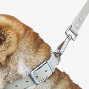 Correa Para Perros PVC Impermeable Gris - Talla S