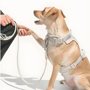 Correa y Pechera Ajustable Para Perros Gris - Talla M