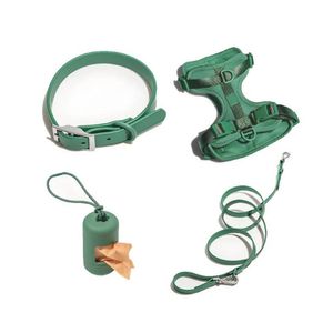 Pack Arnés + Collar + Correa + Dispensador Verde - Talla M