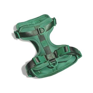 Pack Arnés + Collar + Correa + Dispensador Verde - Talla M