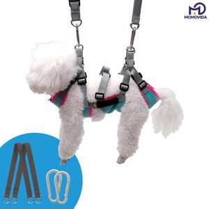 Arnés para mascotas medianas DG Talla M