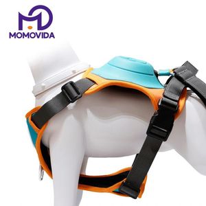 Chaleco Ajustable M para Perros con Correa Rectráctil DL-M