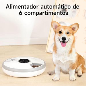 Comedero automático de 6 compartimientos para Mascotas PF-1