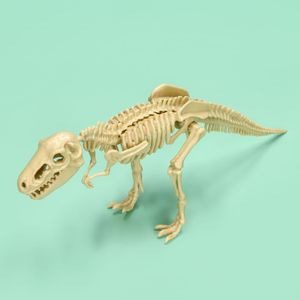 Kit Excavación Fósil de Dinosaurio