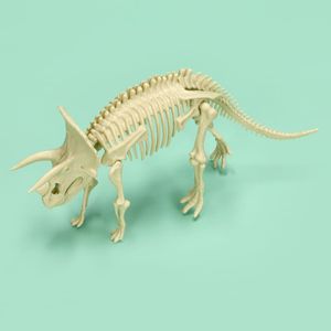 Kit Excavación Fósil de Dinosaurio