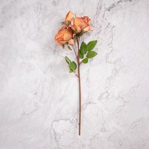 Pack de 2 Rosas Naranja Panorama Hogar