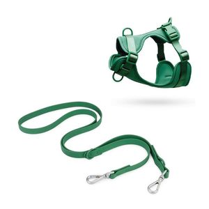 Correa y Pechera Ajustable Para Perros Verde - Talla M