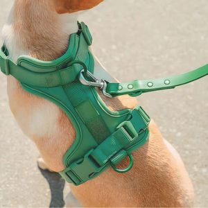 Correa y Pechera Ajustable Para Perros Verde - Talla M