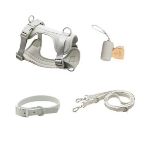 Pack Arnés + Collar + Correa + Dispensador Gris - Talla M