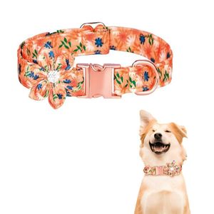 Collar Floral Para Mascotas Melón - Talla M