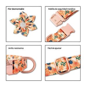 Collar Floral Para Mascotas Melón - Talla M
