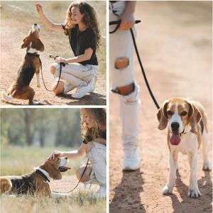 Correa Para Perros PVC Impermeable Negro - Talla M