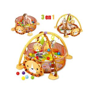 Gimnasio de Actividad Circular IDEAL con Pelotas León