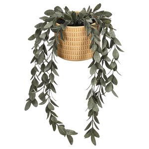 Maceta de Cerámica con Suculenta Colgante 20 x 26 cm