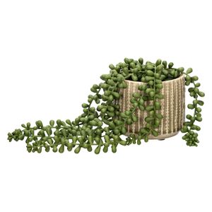 Maceta de Cerámica con Suculenta Colgante 20 x 26 cm