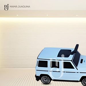 Correpasillo de arrastre Maleta Buggie «BUGGIE BAG» White