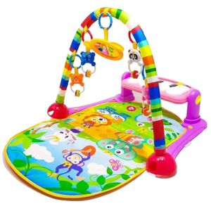 Gimnasio Musical Multifunciòn GMPR con Piano Rosa