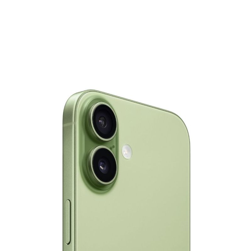 Image-4