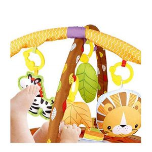 Gimnasio de Actividad Circular con Pelotas León