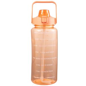 Tomatodo DECO HOME 2L Colores Variados (Modelos Aleatorios)