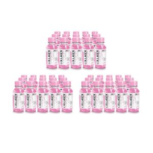 Fitfem Collagen Fit Pack 45 Blueberry