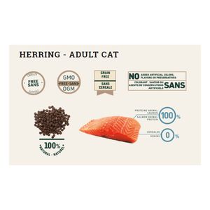 Alimento Bravery Herring Gatos Adultos 7Kg