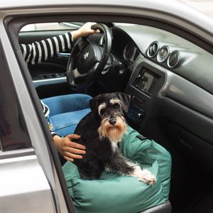 Asiento de Auto para Mascotas