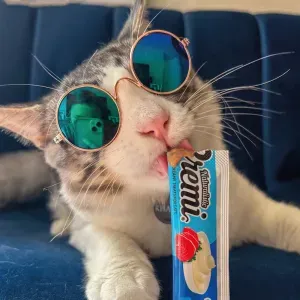 Snack para Gato Cremi Box Mix Del Mar Pack 60 Tubos Variados