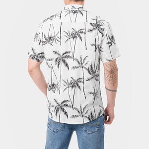 Camisa Popelina Gzuck Hombre Zen Palmx