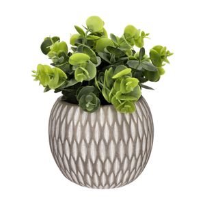 Maceta Planta Esfera 12 x 26 cm