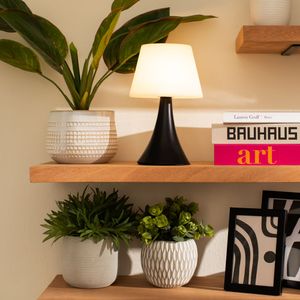 Maceta Planta Esfera 12 x 26 cm