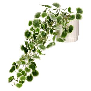 Maceta con Planta Colgante 18 x 30 cm