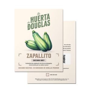Semillas Premium De Zapallito Italiano