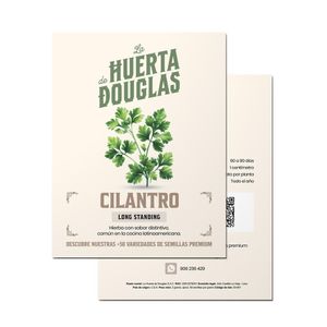 Semillas Premium De Cilantro