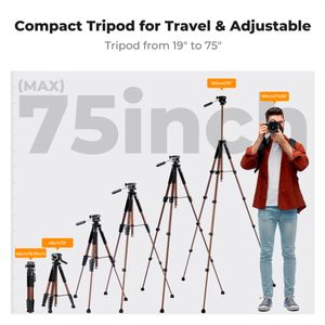 Tripode K&F Concept KF09.156 - S255A3+BV01