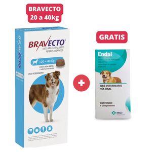 Antipulgas Bravecto para perros de 20 - 40 kg