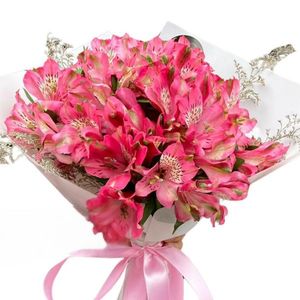 Ramo Melia - Ramo de astromelias rosadas- Ramo de Flores