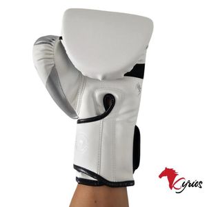 Guantes De Box Venum 3.0 De 10 onz Plateado Con ( Estuche )