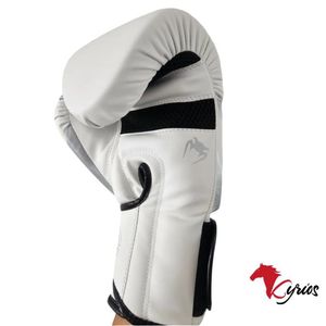 Guantes De Box Venum 3.0 De 10 onz Plateado Con ( Estuche )