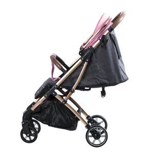 Coche Ebaby Maleta Sunny EB124 de Acero Negro