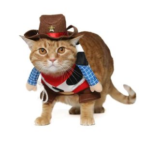 Disfraz para Mascota CowBoy