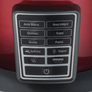 Arrocera multifunción 10 en 1 Oster Bioceramic CKSTRC9030R