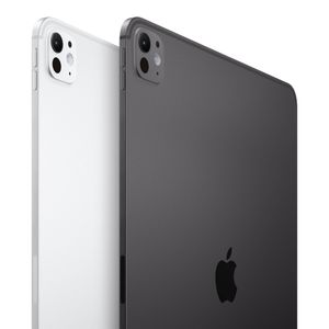 iPad Pro M5 (2025) 11" Wifi + Cellular 1TB - Glass Nanotexturizado | Silver